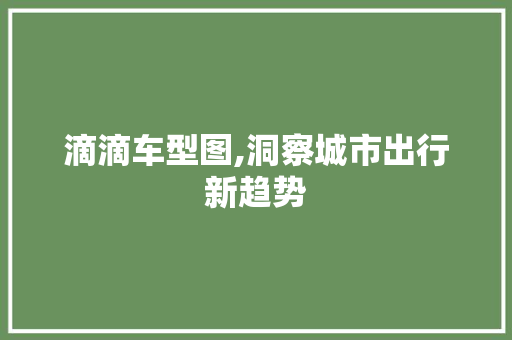 滴滴车型图,洞察城市出行新趋势