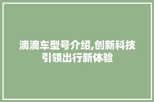 滴滴车型号介绍,创新科技引领出行新体验