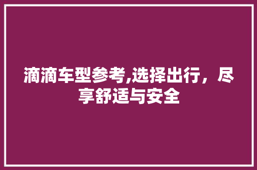 滴滴车型参考,选择出行，尽享舒适与安全