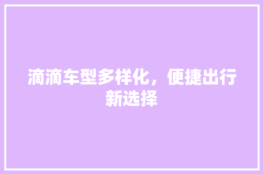 滴滴车型多样化，便捷出行新选择