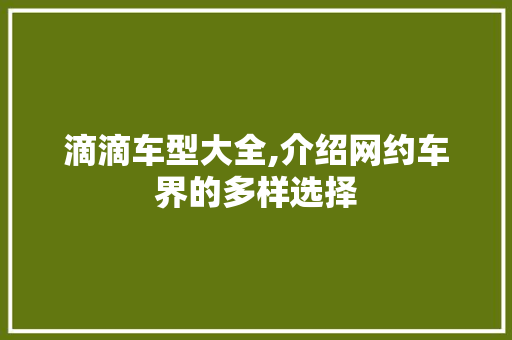 滴滴车型大全,介绍网约车界的多样选择
