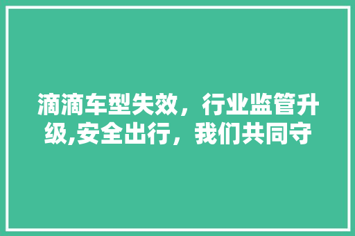 滴滴车型失效，行业监管升级,安全出行，我们共同守护