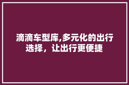 滴滴车型库,多元化的出行选择，让出行更便捷