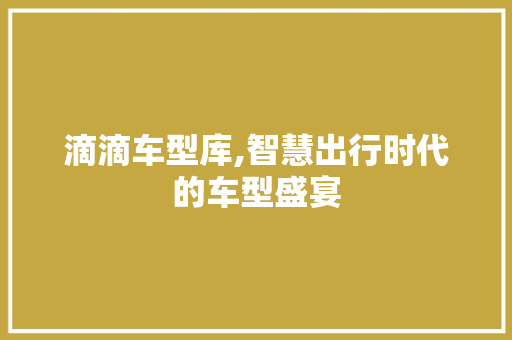 滴滴车型库,智慧出行时代的车型盛宴