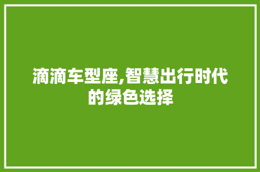 滴滴车型座,智慧出行时代的绿色选择