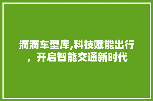 滴滴车型库,科技赋能出行，开启智能交通新时代