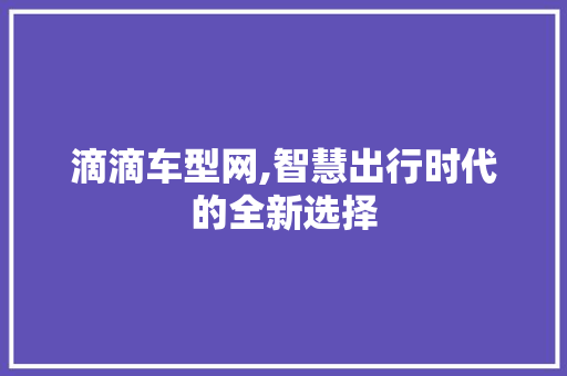 滴滴车型网,智慧出行时代的全新选择