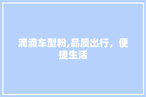 滴滴车型粉,品质出行，便捷生活