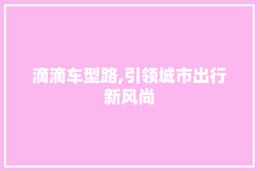 滴滴车型路,引领城市出行新风尚