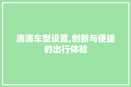 滴滴车型设置,创新与便捷的出行体验