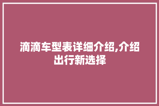 滴滴车型表详细介绍,介绍出行新选择