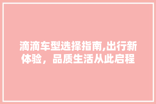 滴滴车型选择指南,出行新体验，品质生活从此启程