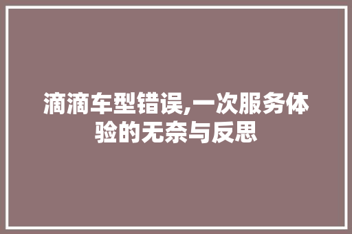 滴滴车型错误,一次服务体验的无奈与反思