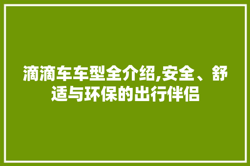 滴滴车车型全介绍,安全、舒适与环保的出行伴侣