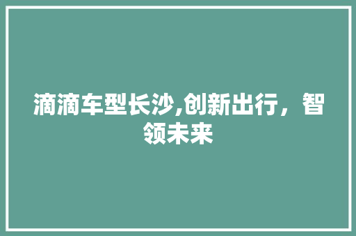 滴滴车型长沙,创新出行，智领未来