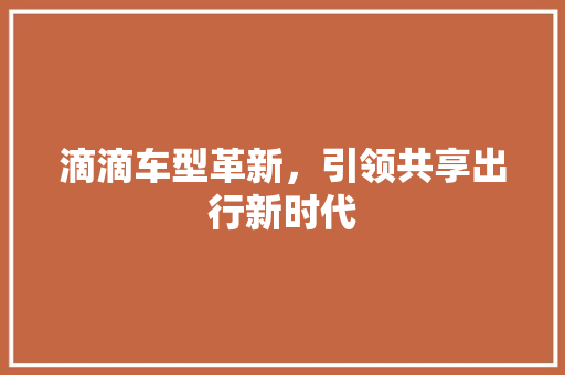 滴滴车型革新，引领共享出行新时代