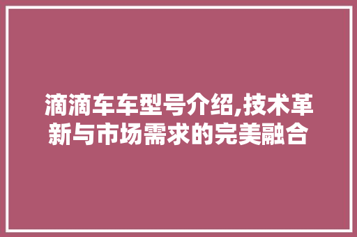 滴滴车车型号介绍,技术革新与市场需求的完美融合