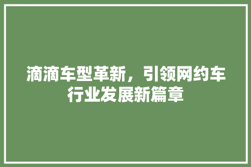 滴滴车型革新，引领网约车行业发展新篇章