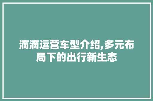 滴滴运营车型介绍,多元布局下的出行新生态