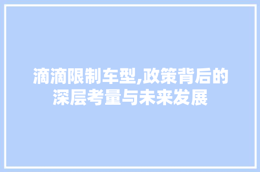 滴滴限制车型,政策背后的深层考量与未来发展