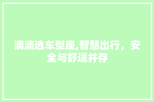 滴滴选车型座,智慧出行，安全与舒适并存