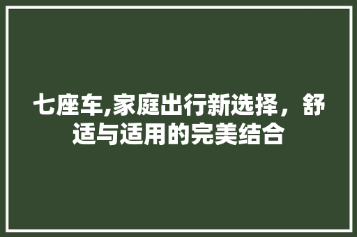 七座车,家庭出行新选择，舒适与适用的完美结合