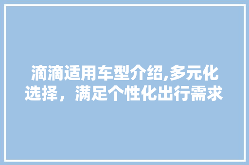 滴滴适用车型介绍,多元化选择，满足个性化出行需求