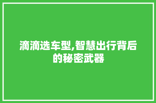 滴滴选车型,智慧出行背后的秘密武器