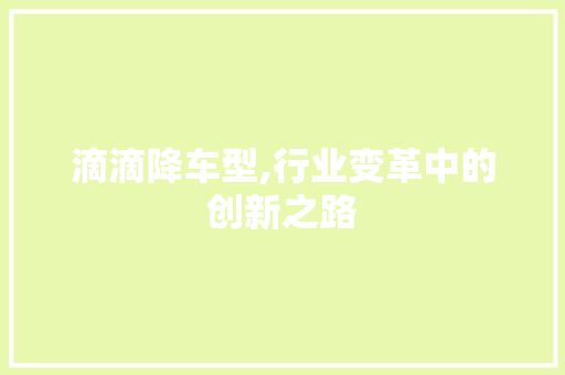 滴滴降车型,行业变革中的创新之路