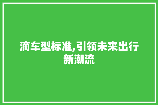 滴车型标准,引领未来出行新潮流