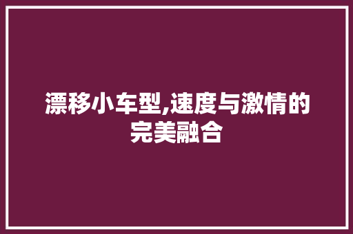 漂移小车型,速度与激情的完美融合