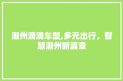 潮州滴滴车型,多元出行，智慧潮州新篇章