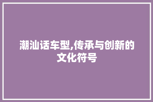 潮汕话车型,传承与创新的文化符号
