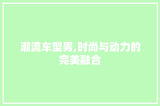 潮流车型男,时尚与动力的完美融合