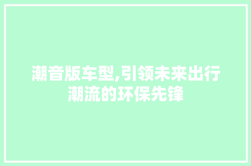 潮音版车型,引领未来出行潮流的环保先锋