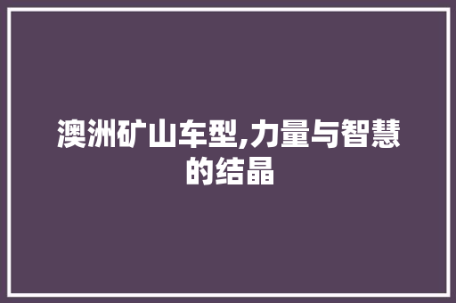 澳洲矿山车型,力量与智慧的结晶