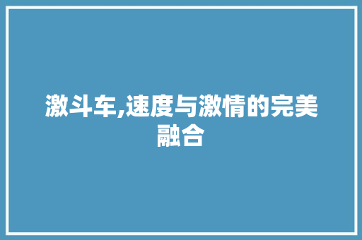 激斗车,速度与激情的完美融合