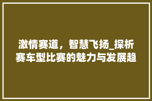 激情赛道，智慧飞扬_探析赛车型比赛的魅力与发展趋势