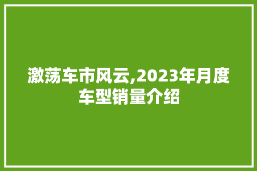 激荡车市风云,2023年月度车型销量介绍
