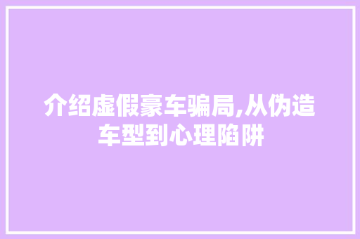 介绍虚假豪车骗局,从伪造车型到心理陷阱