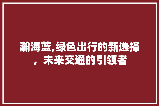 瀚海蓝,绿色出行的新选择，未来交通的引领者