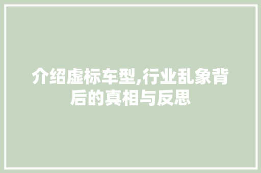 介绍虚标车型,行业乱象背后的真相与反思