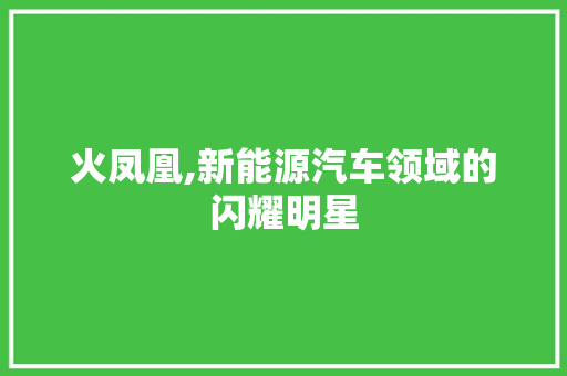 火凤凰,新能源汽车领域的闪耀明星