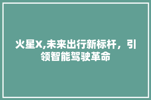 火星X,未来出行新标杆，引领智能驾驶革命
