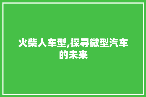 火柴人车型,探寻微型汽车的未来