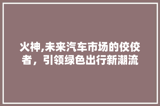 火神,未来汽车市场的佼佼者，引领绿色出行新潮流