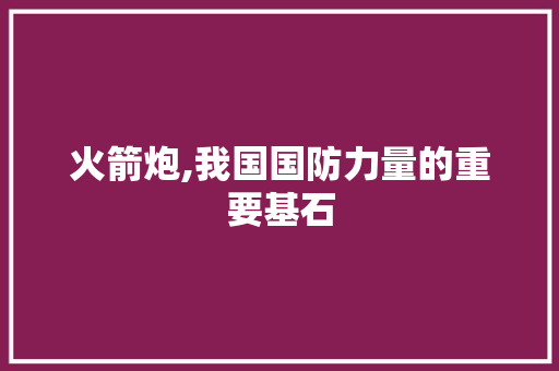火箭炮,我国国防力量的重要基石
