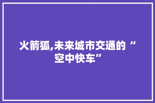 火箭狐,未来城市交通的“空中快车”