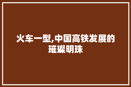 火车一型,中国高铁发展的璀璨明珠