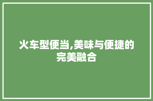 火车型便当,美味与便捷的完美融合